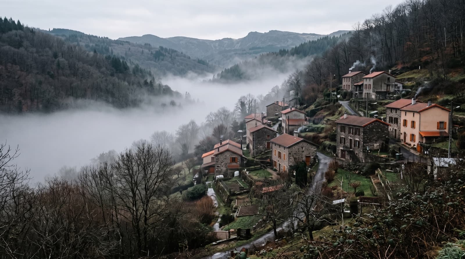 Maisons individuelles de Sorbiers étagées sur le versant de la vallée du Janon
